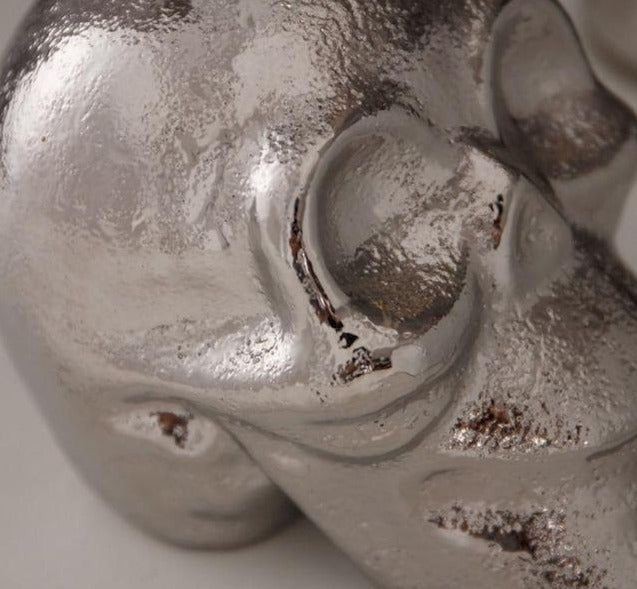 Bouteille de Savon Crane